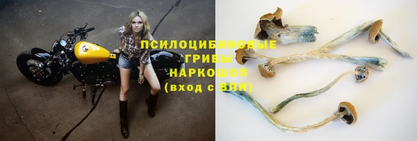 мяу мяу мука Переславль-Залесский
