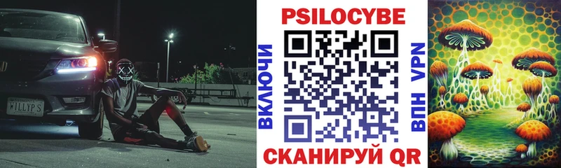 Псилоцибиновые грибы Psilocybe  Владивосток 